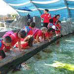 Summer Camp